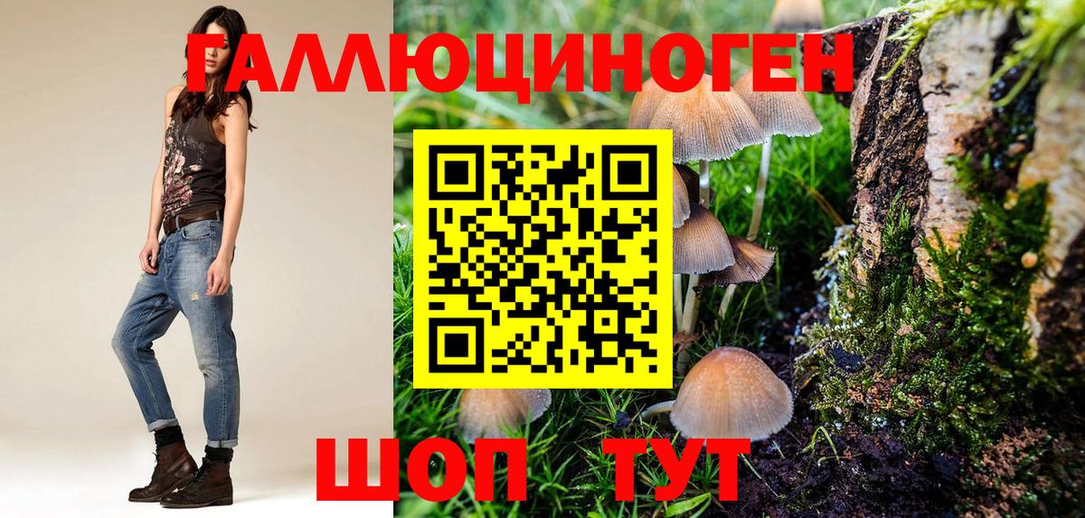 Галлюциногенные грибы GOLDEN TEACHER Павлово
