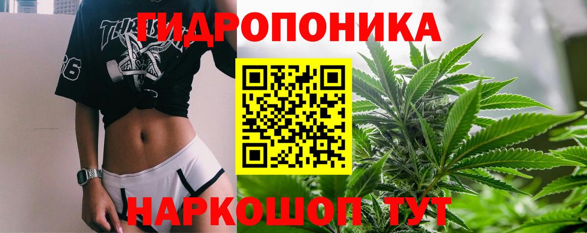 Конопля семена Павлово